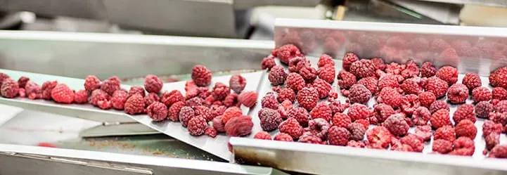 Read more about the article Food-processing industry: a key step in the food supply chain