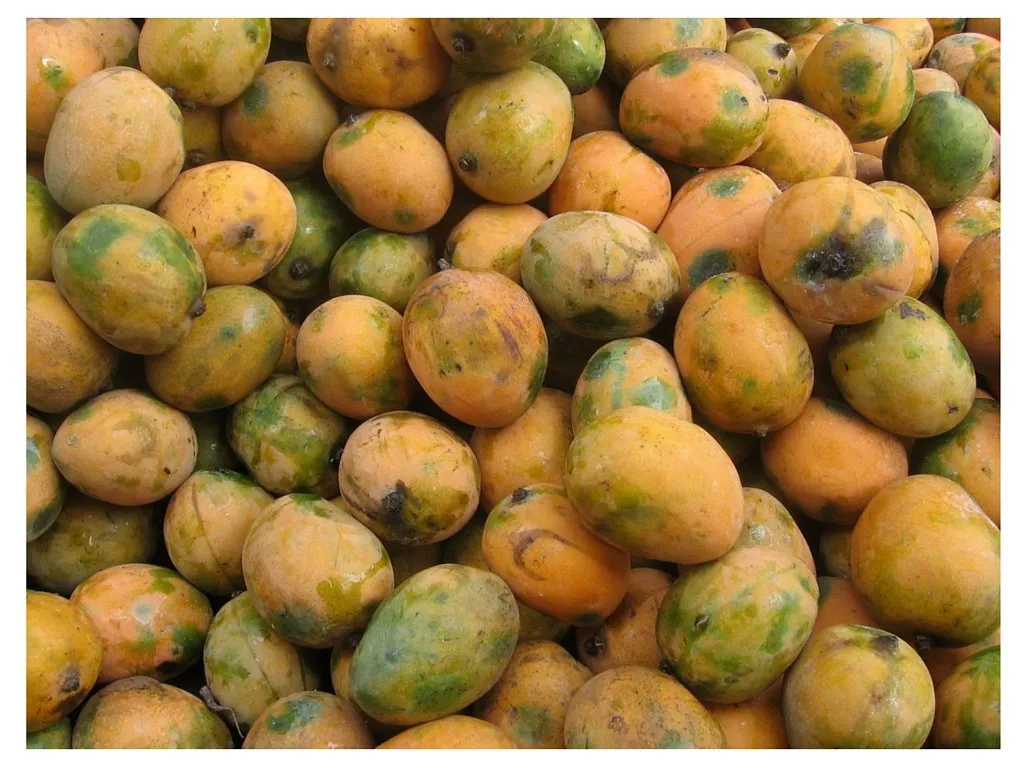 Lee más sobre el artículo A que no sabías estos beneficios del Mango. Entérate!