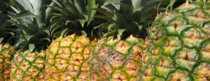 Lee más sobre el artículo Sabías lo buena que es la Piña? Lee más!