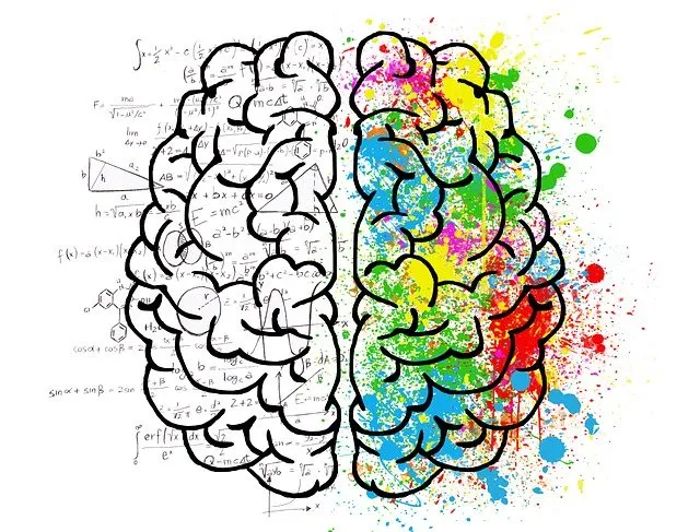 Lee más sobre el artículo Entendiendo el cerebro para mejorar el comportamiento