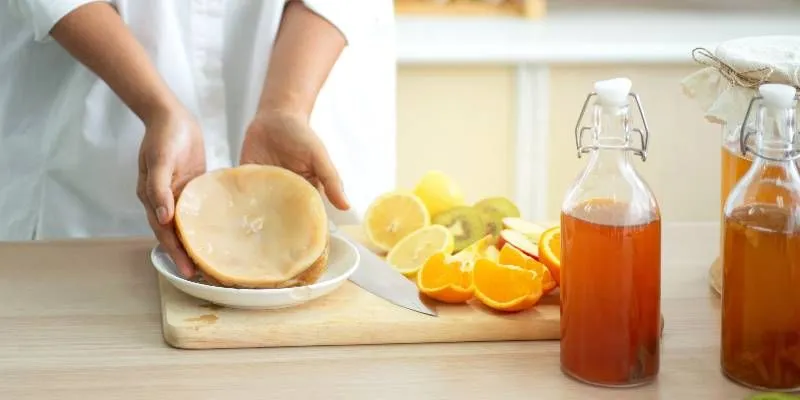 Lee más sobre el artículo Elaborar kombucha: el proceso paso a paso
