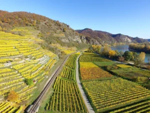 Lee más sobre el artículo Es bueno zonificar cultivos de Fruta? Creemos que sí!