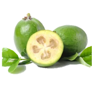 Lee más sobre el artículo La Feijoa, poco común pero muchos beneficios