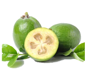 Lee más sobre el artículo La Feijoa, poco común pero muchos beneficios
