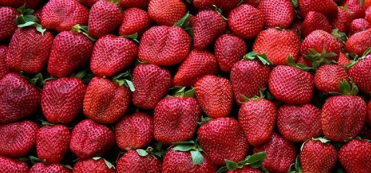 Lee más sobre el artículo Son buenas las frutas para los dientes?