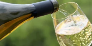 Read more about the article Fruit wines: a perfect alternative for any occasion 