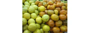 Lee más sobre el artículo 6respuestas equivocadas a preguntas comunes sobre Pulpas de Fruta. Conoces lasverdaderas?