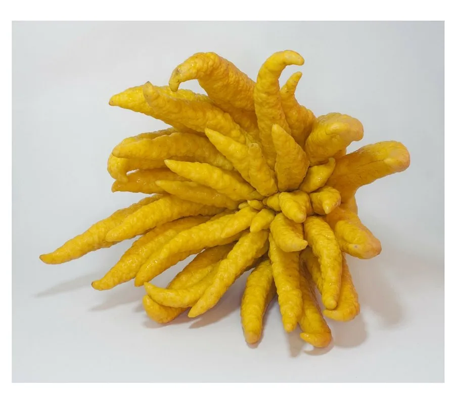 Lee más sobre el artículo Mira frutas curiosas para un blog español