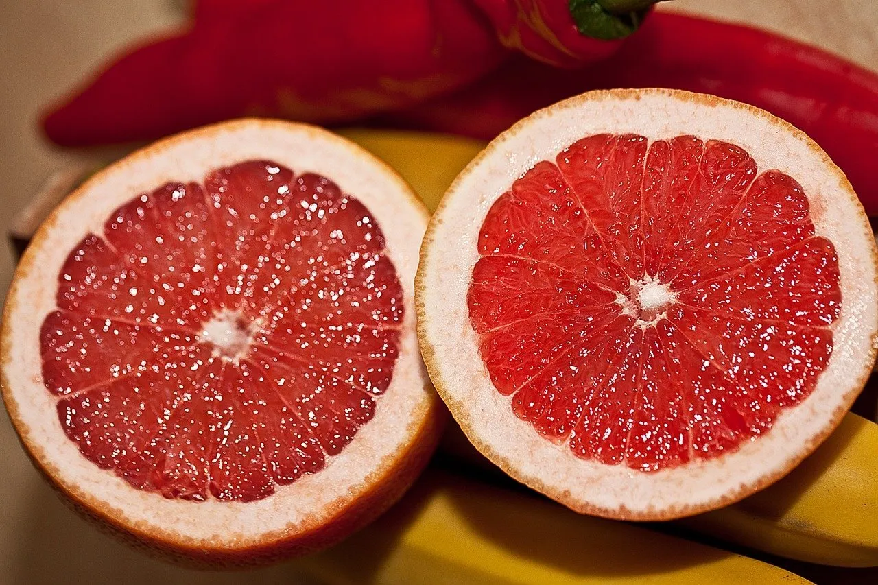 Lee más sobre el artículo Frutas quema grasa? Lee más!