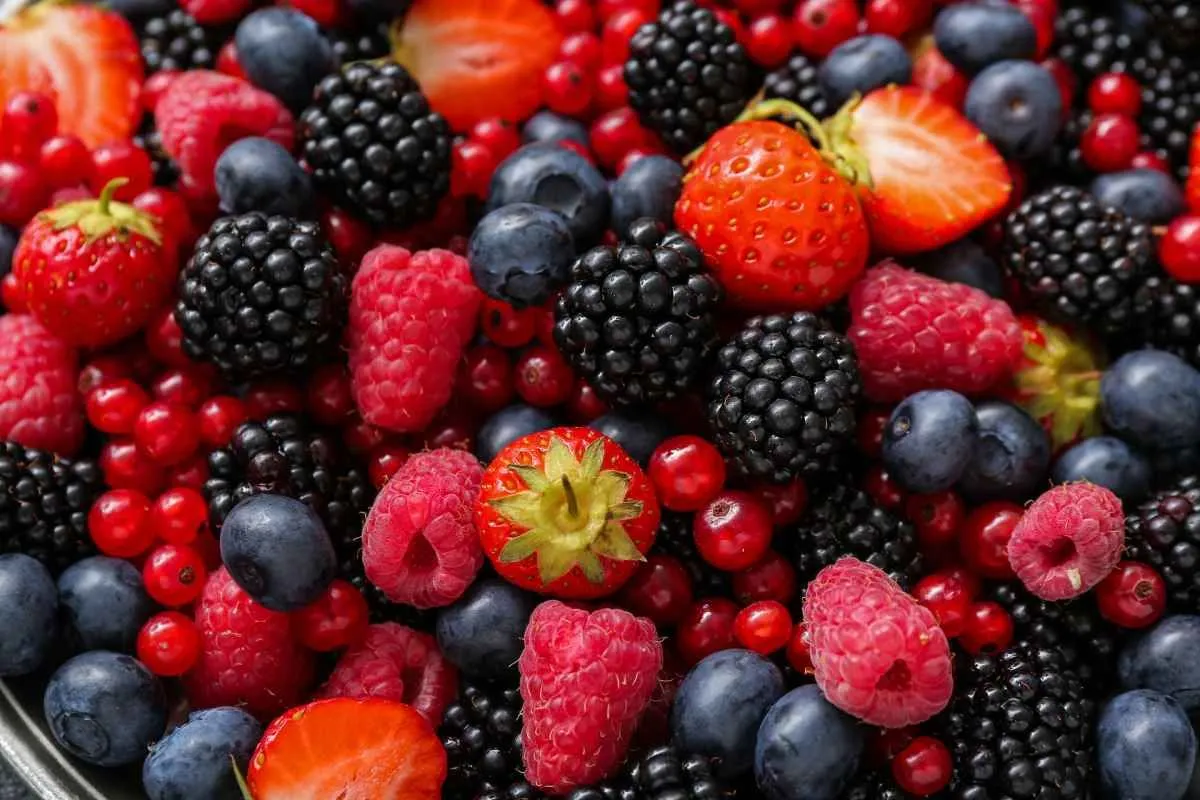 Lee más sobre el artículo Frutas silvestres en puré: ¿cuáles son sus aplicaciones y ventajas?