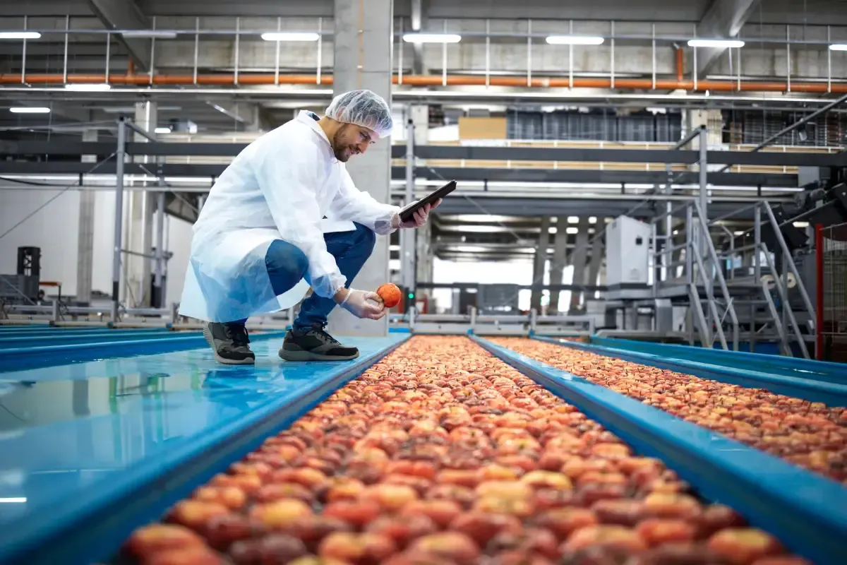 Read more about the article Good manufacturing practices: why should you know and apply them?