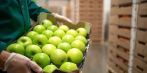 Read more about the article Green fruits and their applications in the food industry