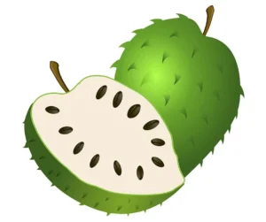 Lee más sobre el artículo y la Guanábana tiene beneficios? Mira cuántos!!