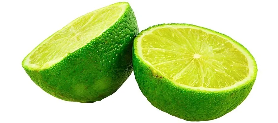 Lee más sobre el artículo  Recuerdas los beneficios del Limón?