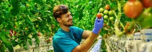 Read more about the article Material Management in Food Production: Significance and Key Aspects