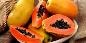 Read more about the article Papaya fruit and its application in food production