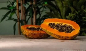 Lee más sobre el artículo ¿Consumes Papaya? Mira lo buena que es