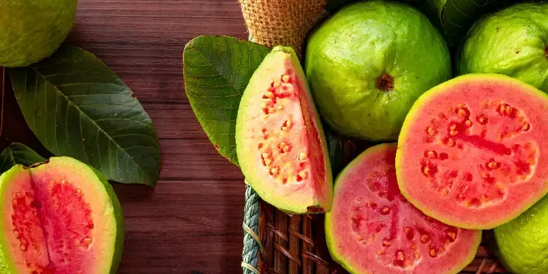 Lee más sobre el artículo Puré de guayaba: sus aplicaciones en la industria alimentaria
