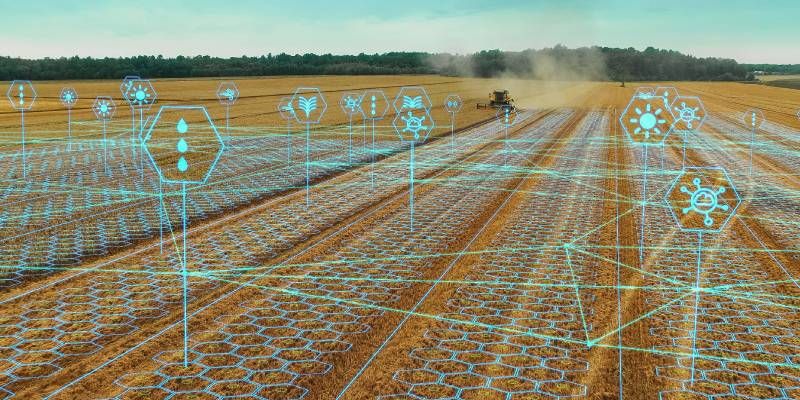 Read more about the article Sustainability in food production: what is it all about?
